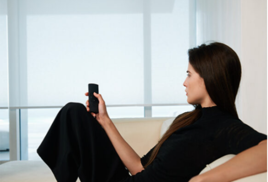 "Sensational Blinds and Flooring Modern Living Room Design"